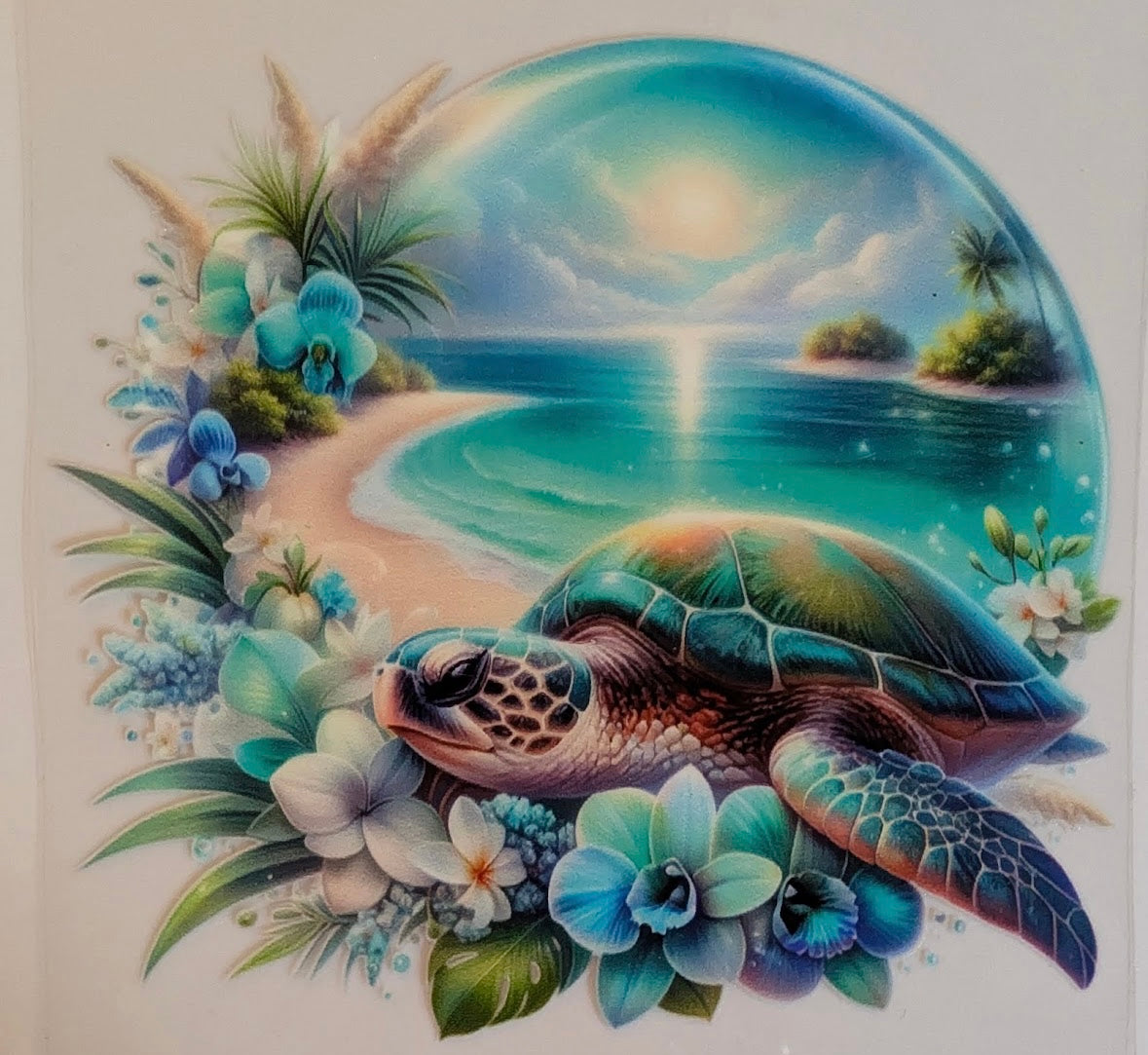 TURTLE #51