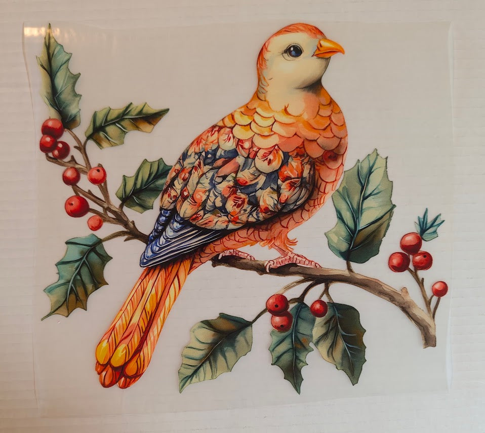 Bird Transfer