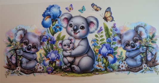 Koala love #577