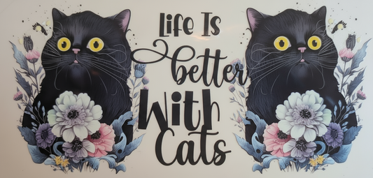 Cat love #590