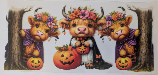 Jack-o'-lantern Cow