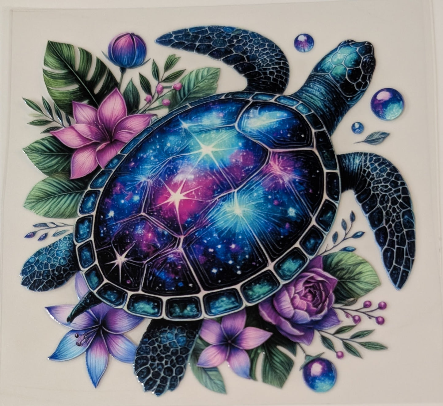 Galaxy turtle