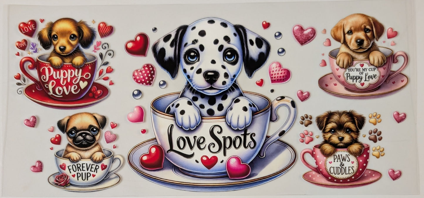 Dalmatian love