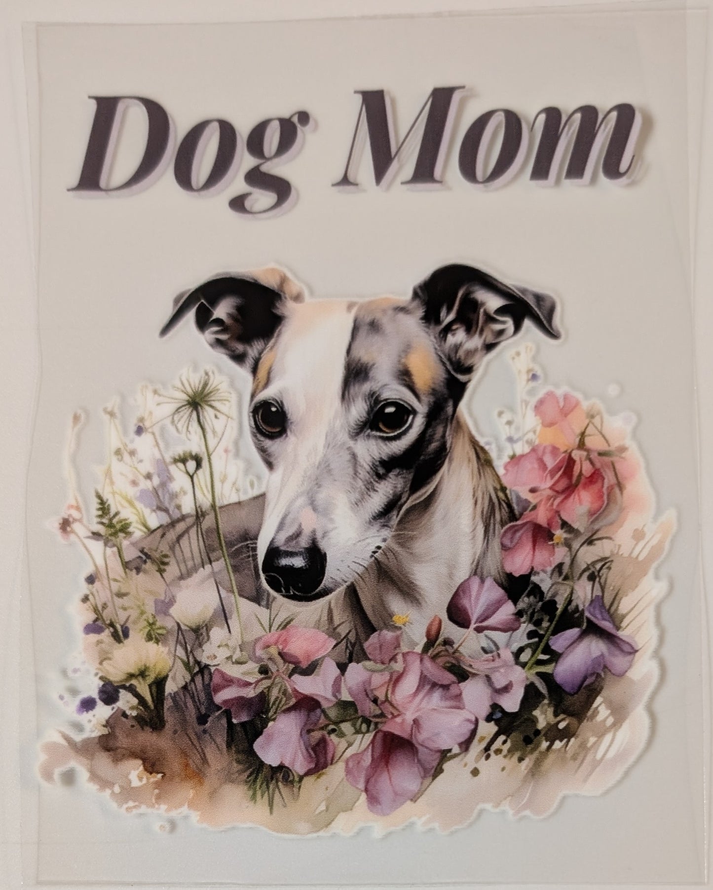 Greyhound mom