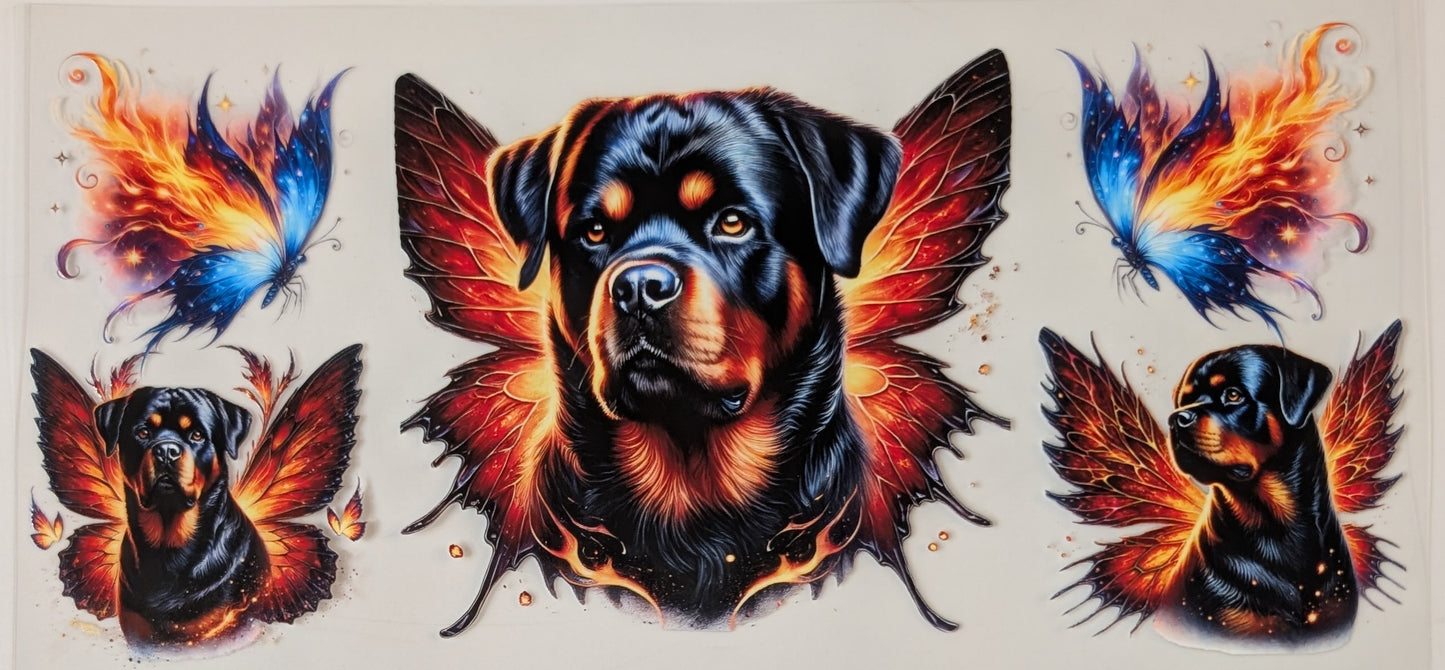 Rottweiler