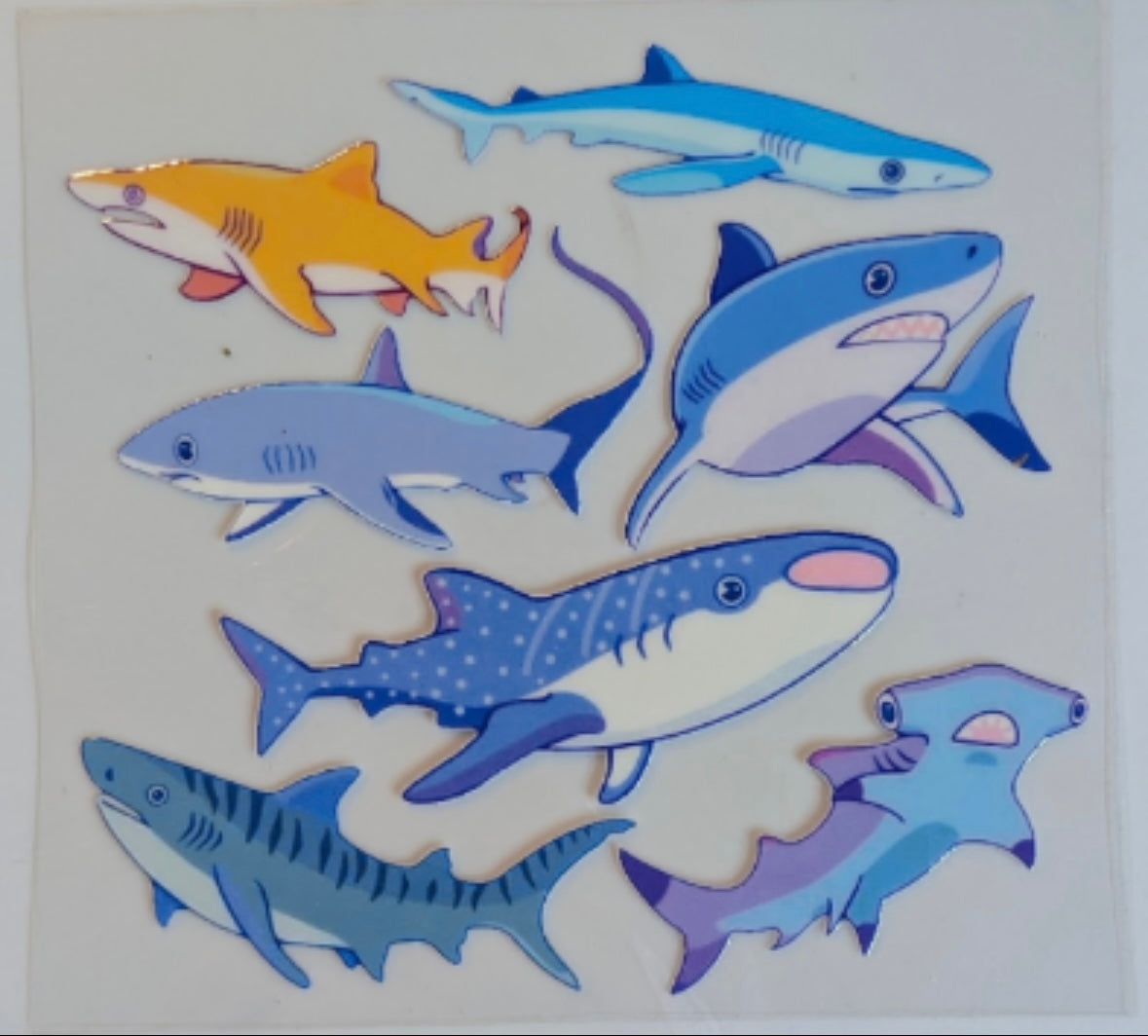 SHARK #38