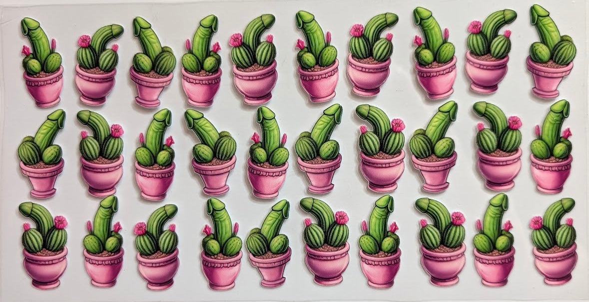 RICHARD PLANTS #898