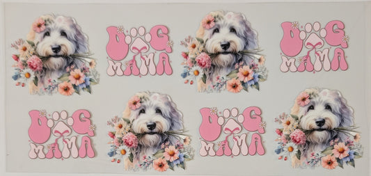 Labradoodle pink dog mama