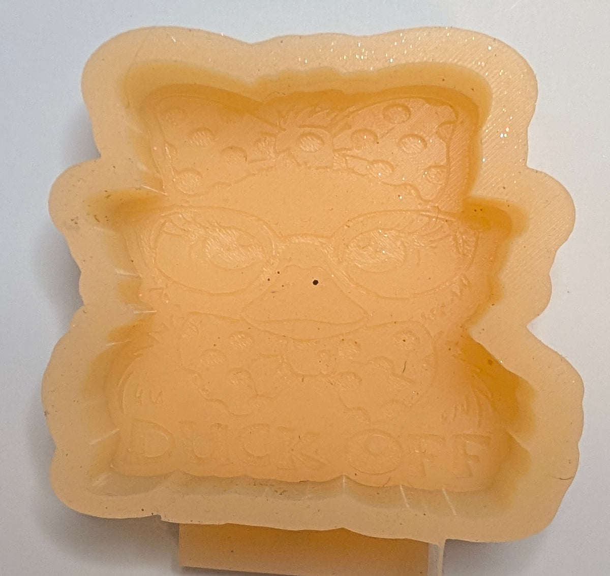 CUSTOM FRESHIE PICK YOUR MOLD! (Hanger included)
