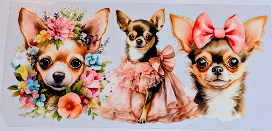 CHIHUAHUA FLORAL