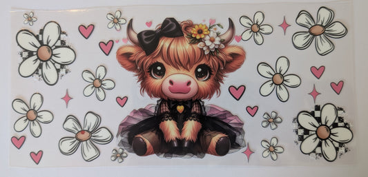 DAISY COW