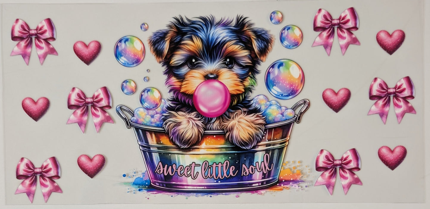 Sweet little soul puppy