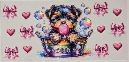 Sweet little soul puppy