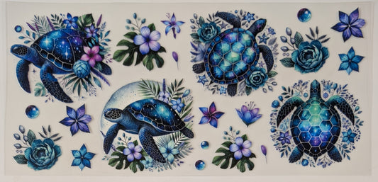 Midnight blue turtles