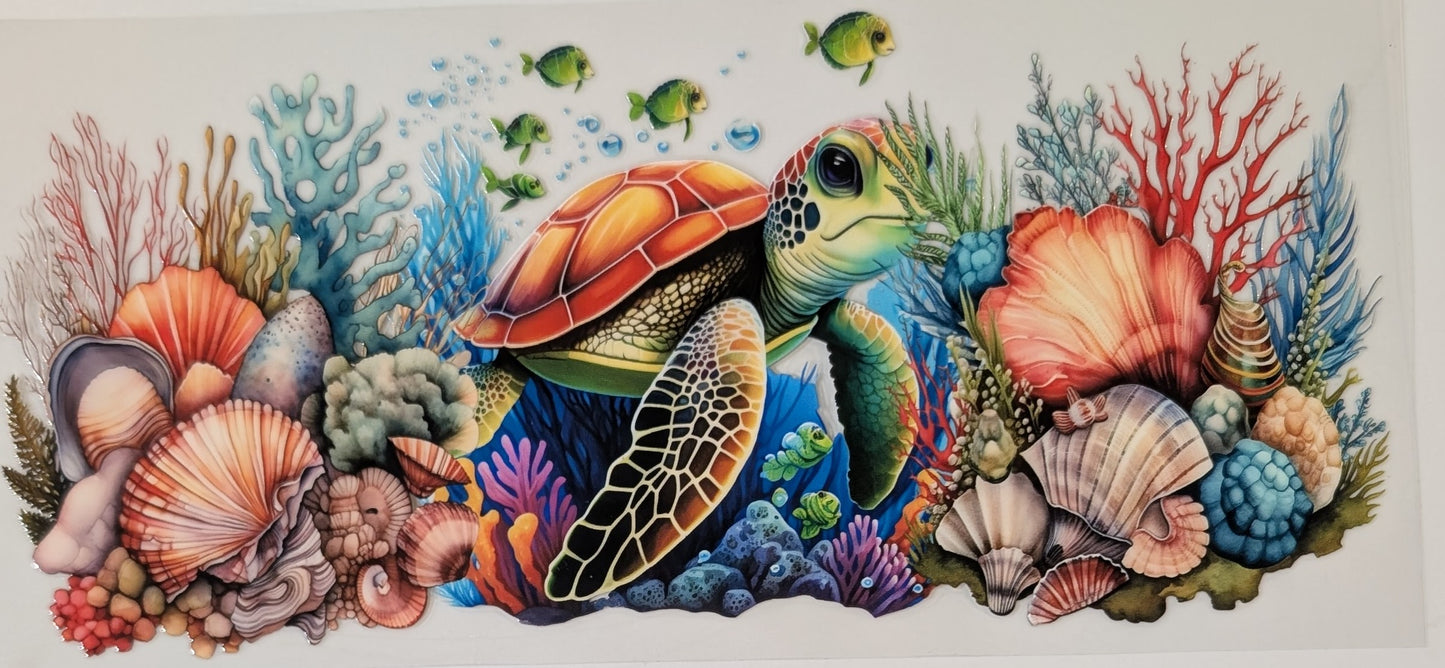 Turtle with coral and shells