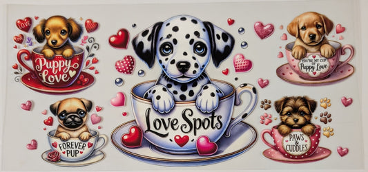 Dalmatian love
