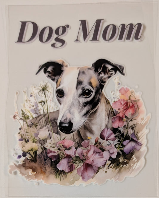 Greyhound mom