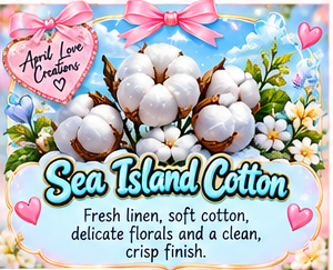 FRESHIE SCENTS