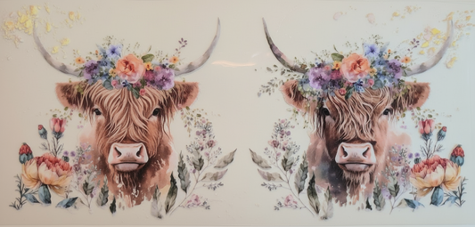 Twin cows #599